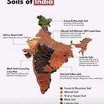 Indian soils