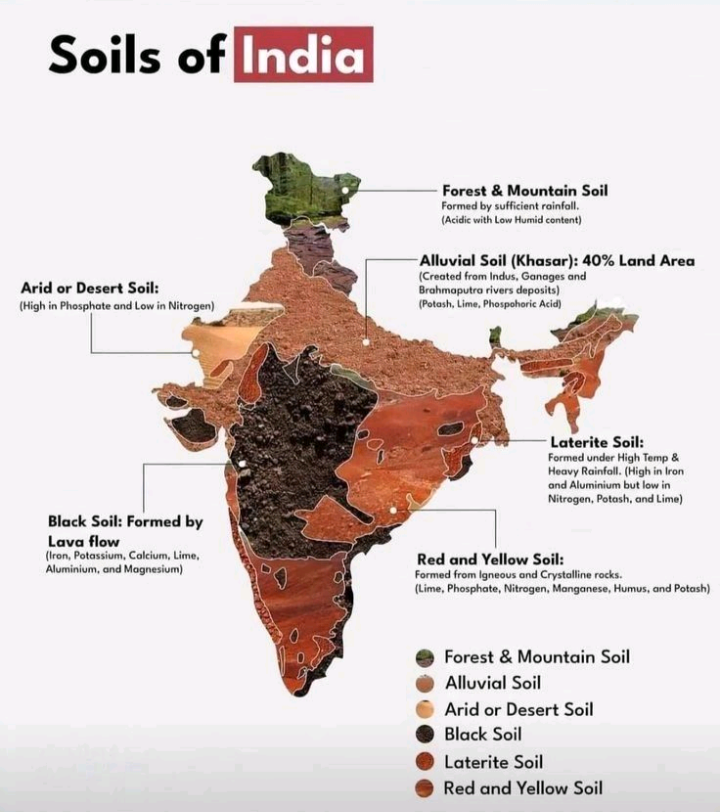 Indian soils
