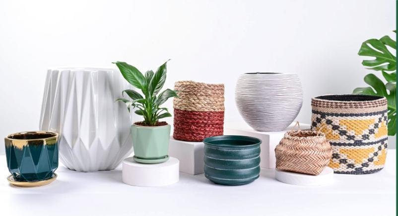 Pots & Planters
