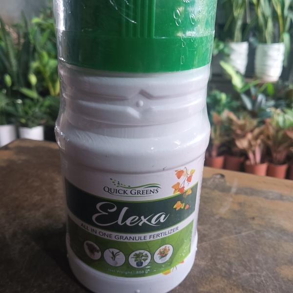 Elaxa