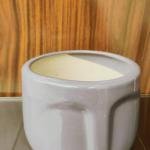 Grey Ceramic Egyption Pot