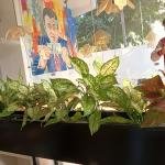 Red aglonema